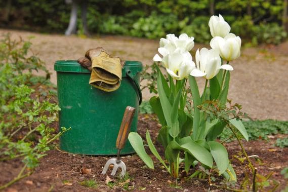 Suche: Gartenhilfe