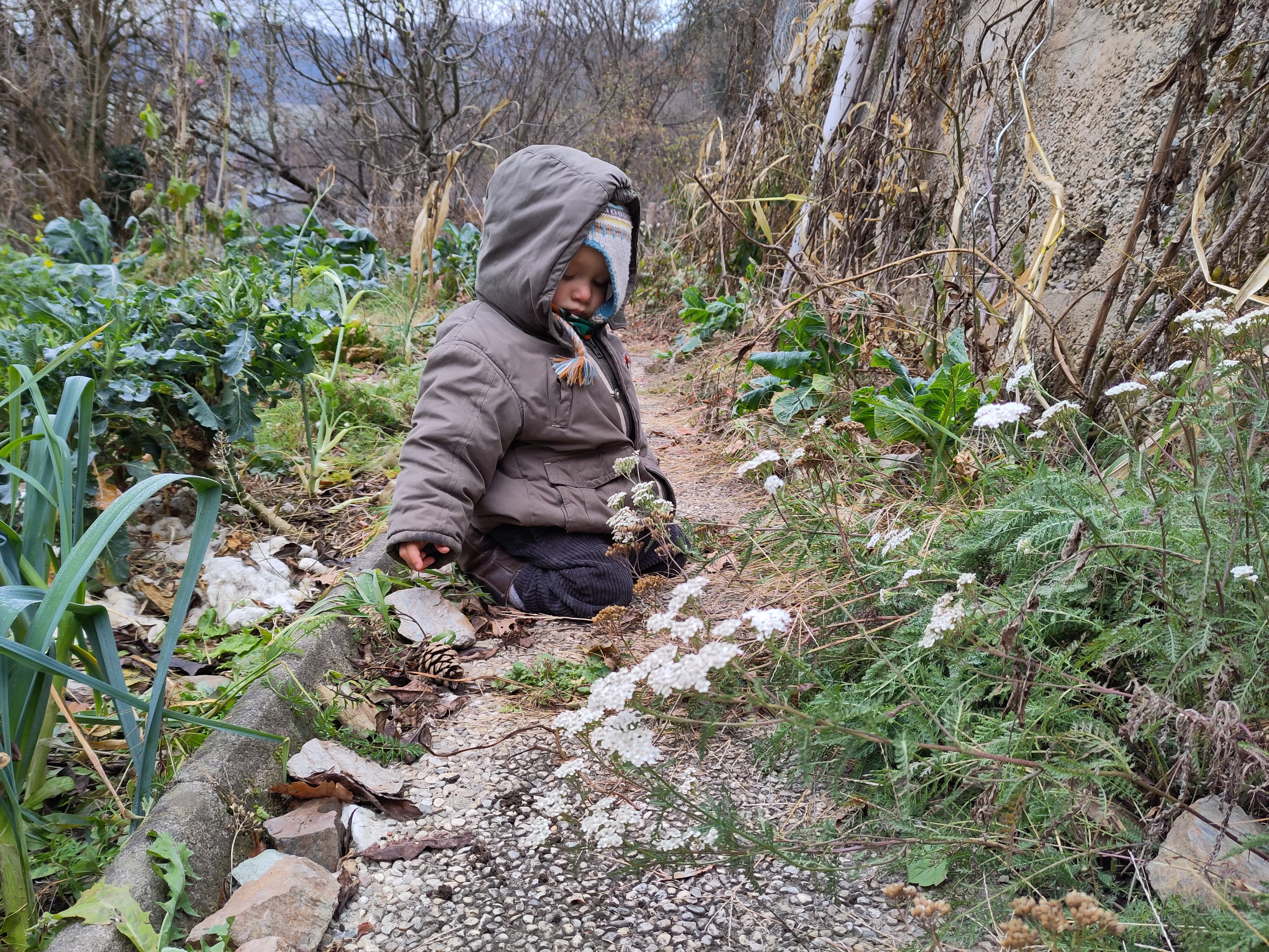 Suchen Freunde für Gartentätigkeiten